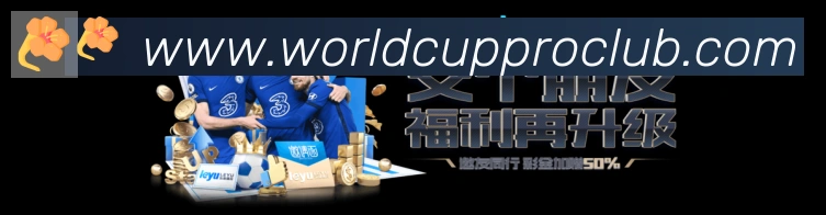 奖项证书